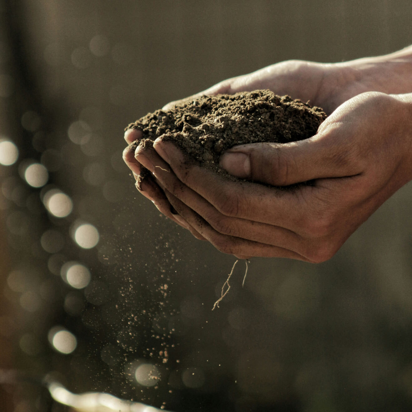 Compost Delivery
